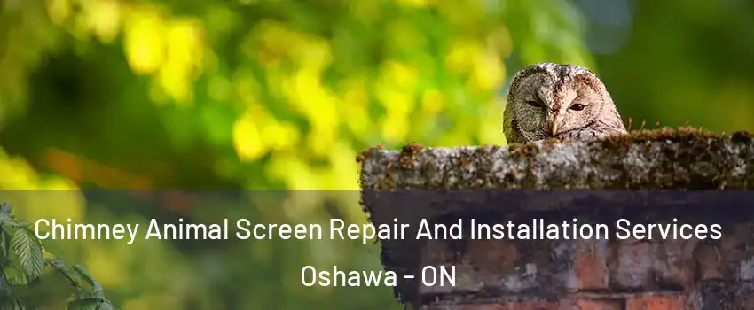  Chimney Animal Screen Repair And Installation Services Oshawa - ON