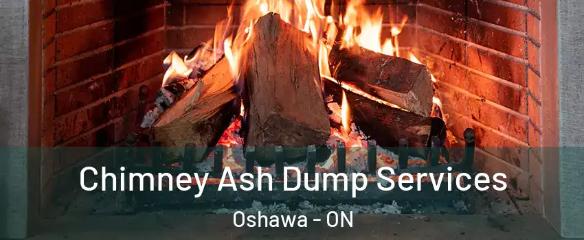  Chimney Ash Dump Services Oshawa - ON