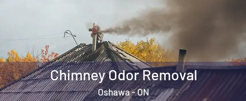  Chimney Odor Removal Oshawa - ON