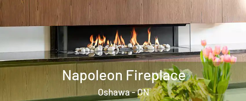  Napoleon Fireplace Oshawa - ON